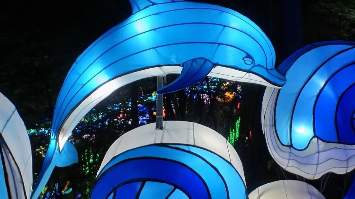 Dolphin at the Lantern Festival